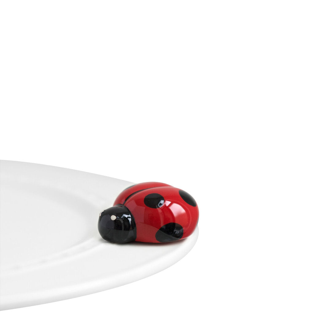 NF Ladybug Mini