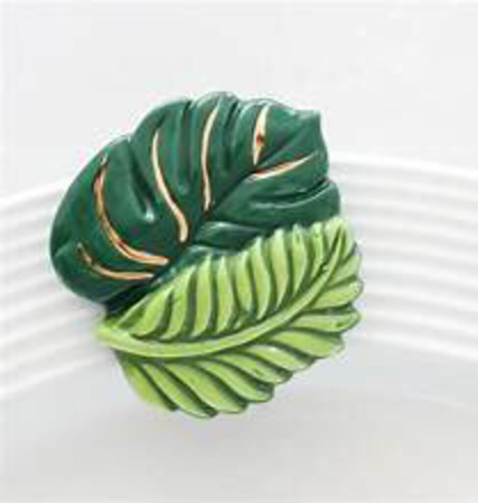NF - Best Ferns Forever Mini (Ferns)