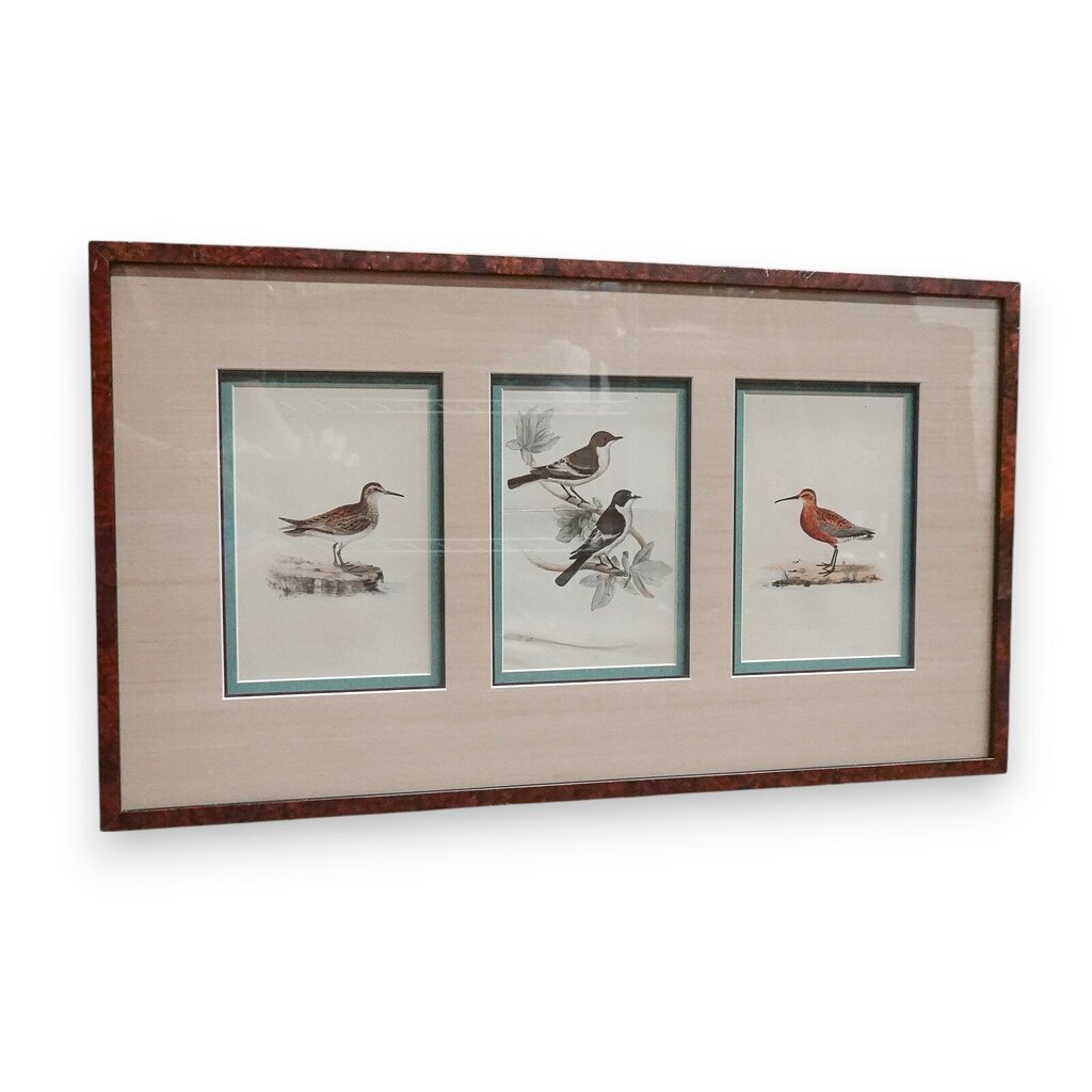Trio Bird Prints