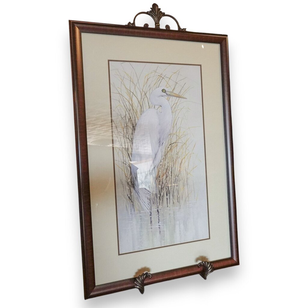 White Egret Picture