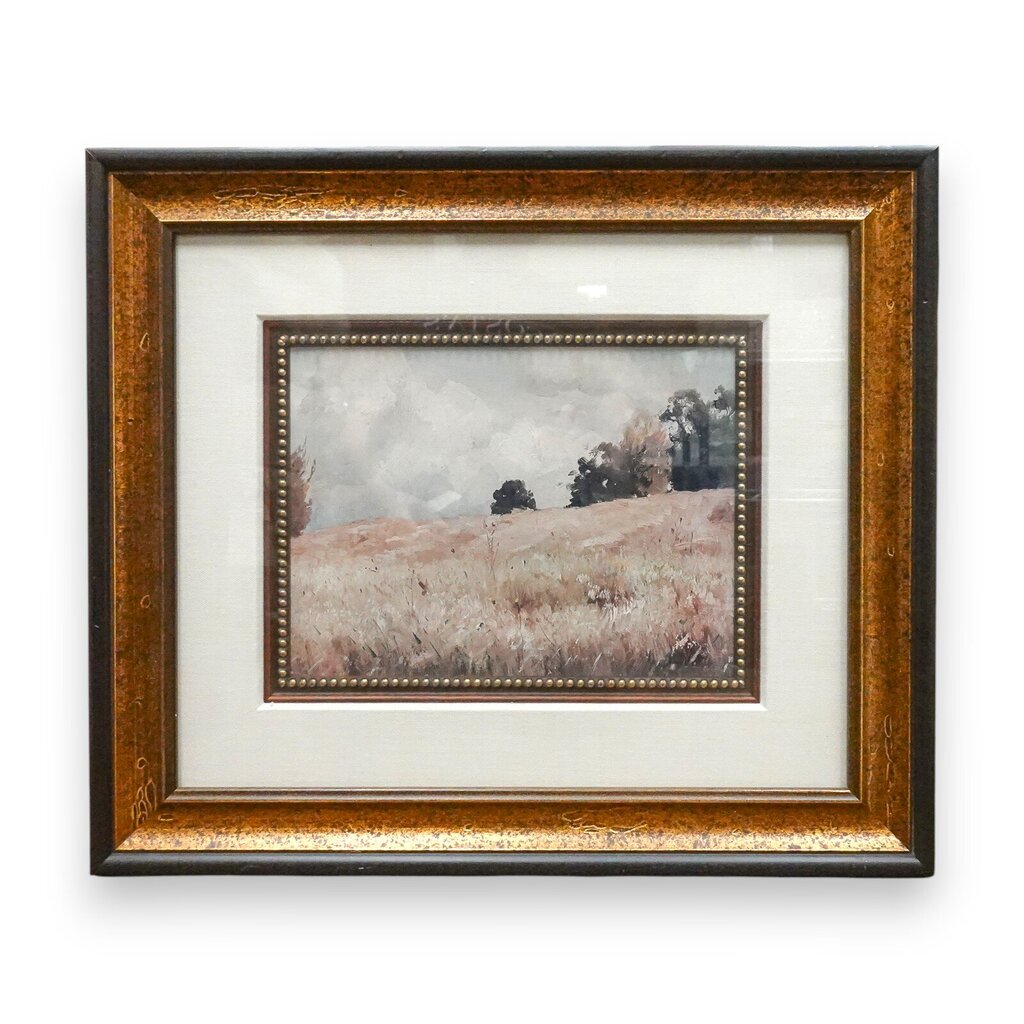 Framed Landscape Picture