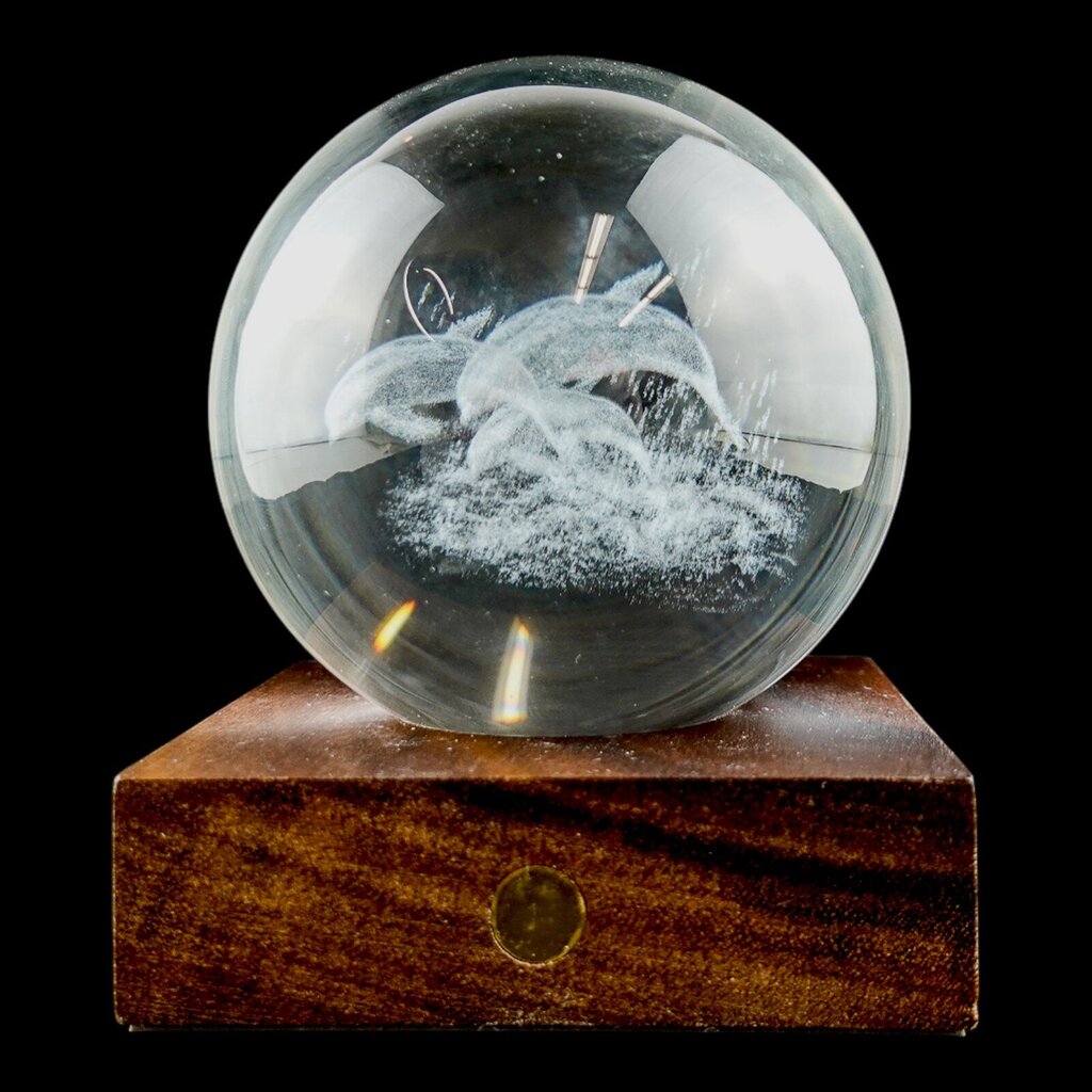 Dolphin in Glass Sphere