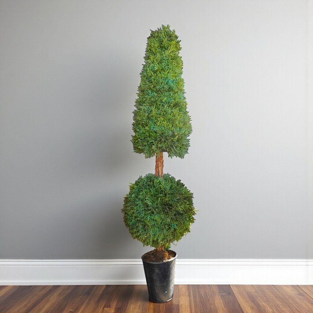 Topiary Trees