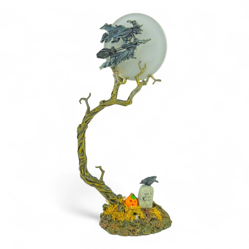 Witch by the Light of the Moon - Box