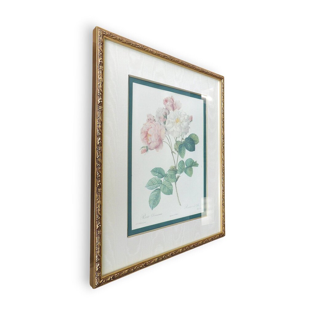 "Rosa Damascena" Framed Print