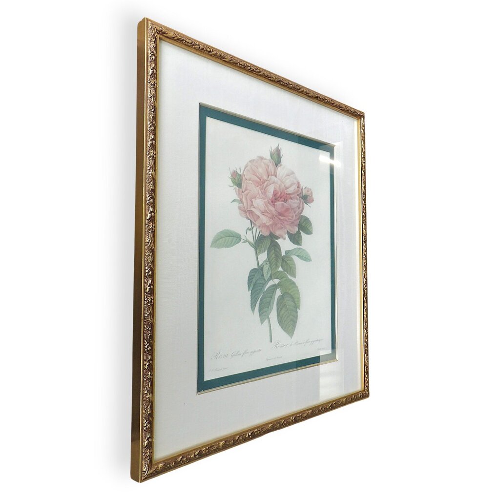 "The Rose" Framed Print