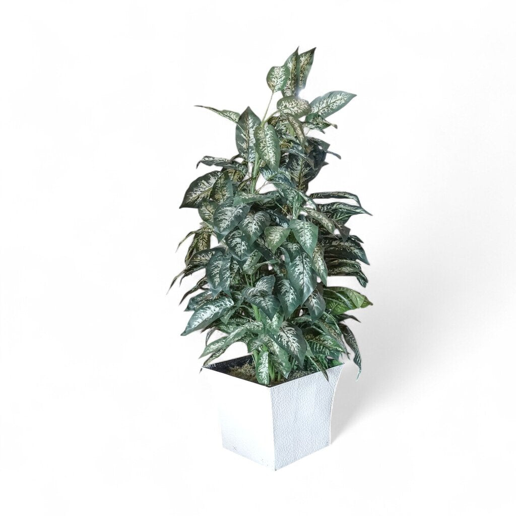 Greenery in Planter