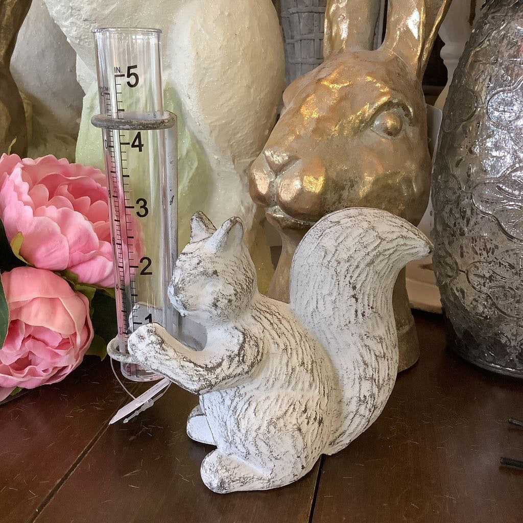 Squirrel Rain Gauge