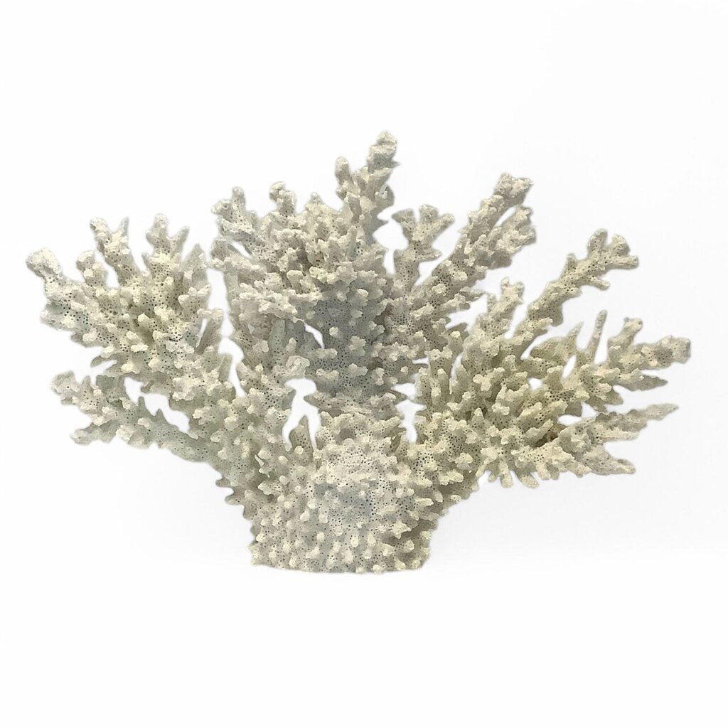 Decorative Coral