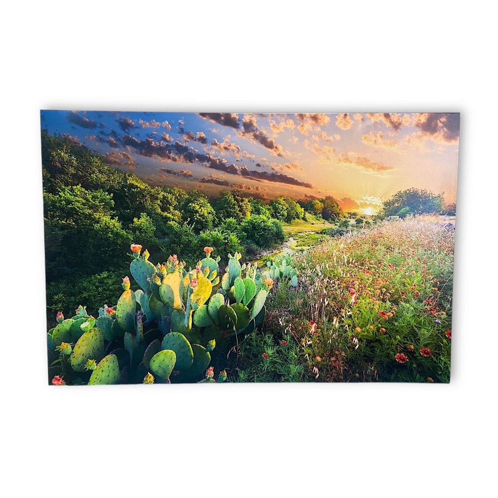 Cactus Picture Print on Canvas