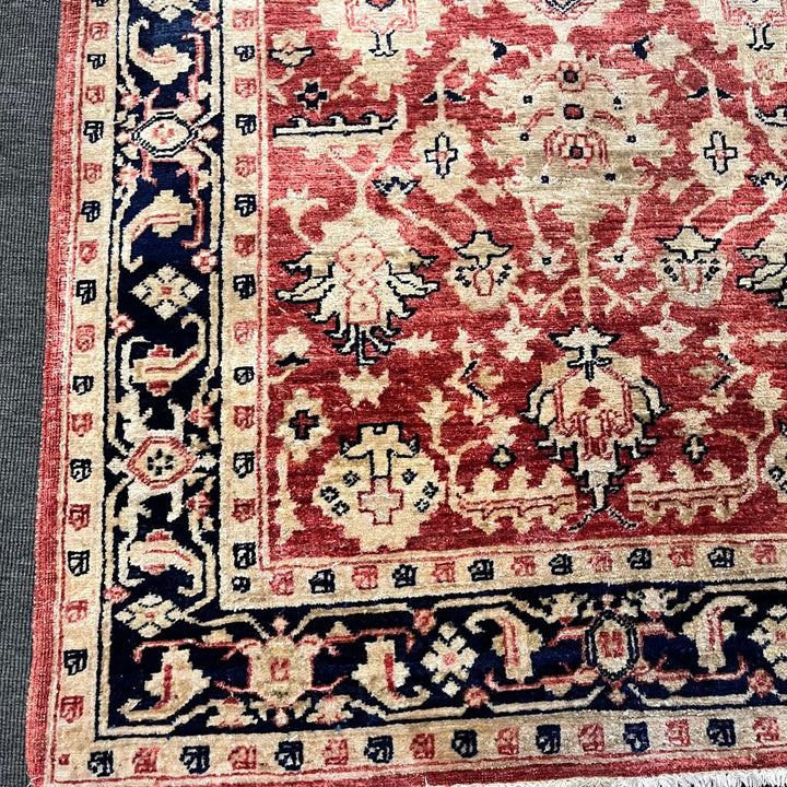 Orig Price $299 - Area Rug