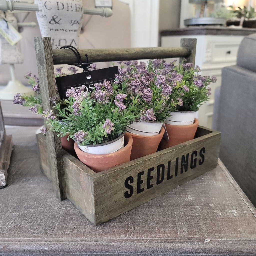 plant pot caddy Seedling Pots Caddy – Acosta's Home