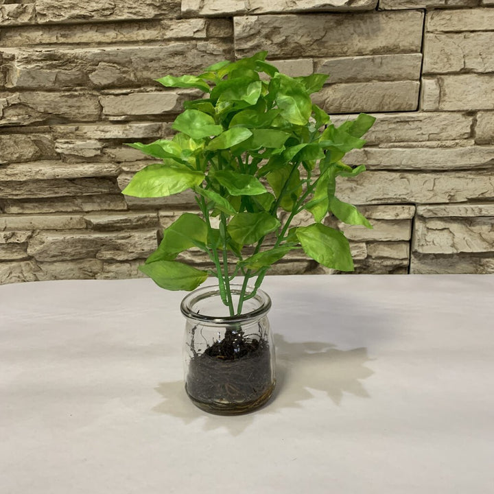 Glass Jar of Greens