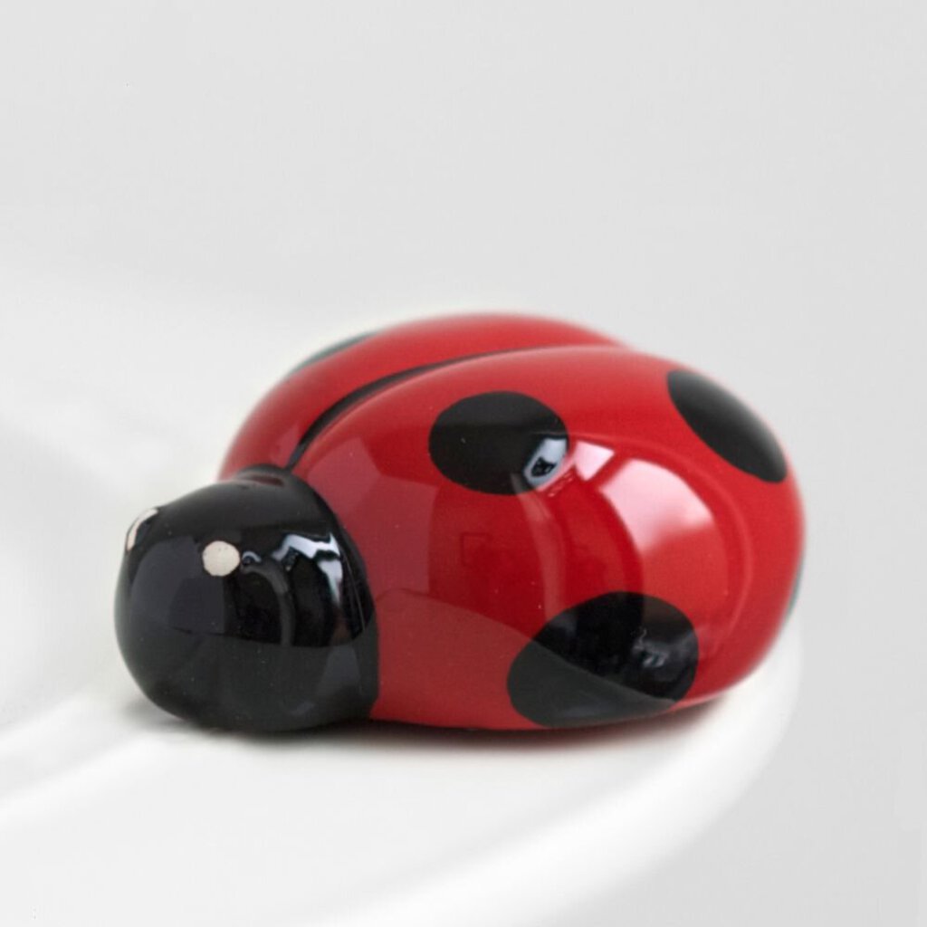 NF Lil' Ladybug Mini