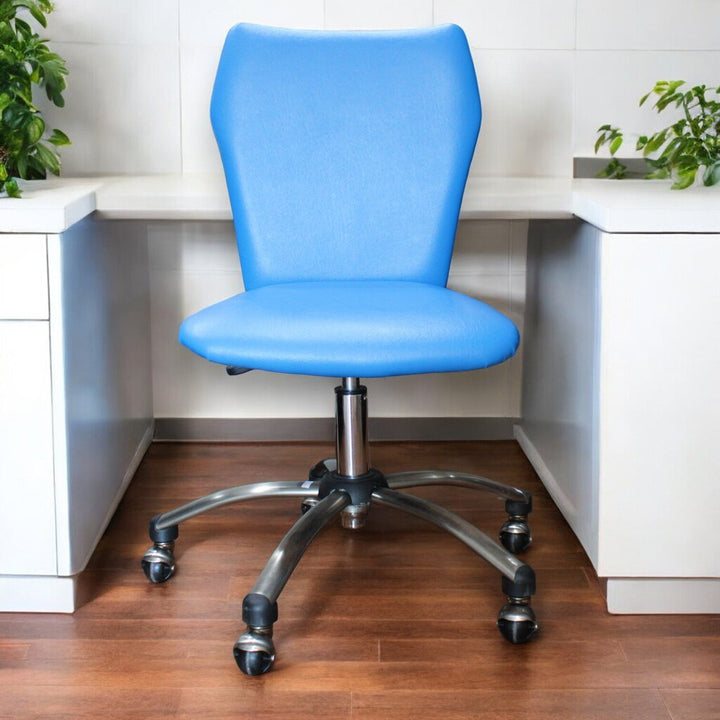 Orig Price $199 - Desk Chair