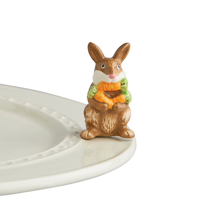 NF Funny Bunny Mini – Acosta's Home