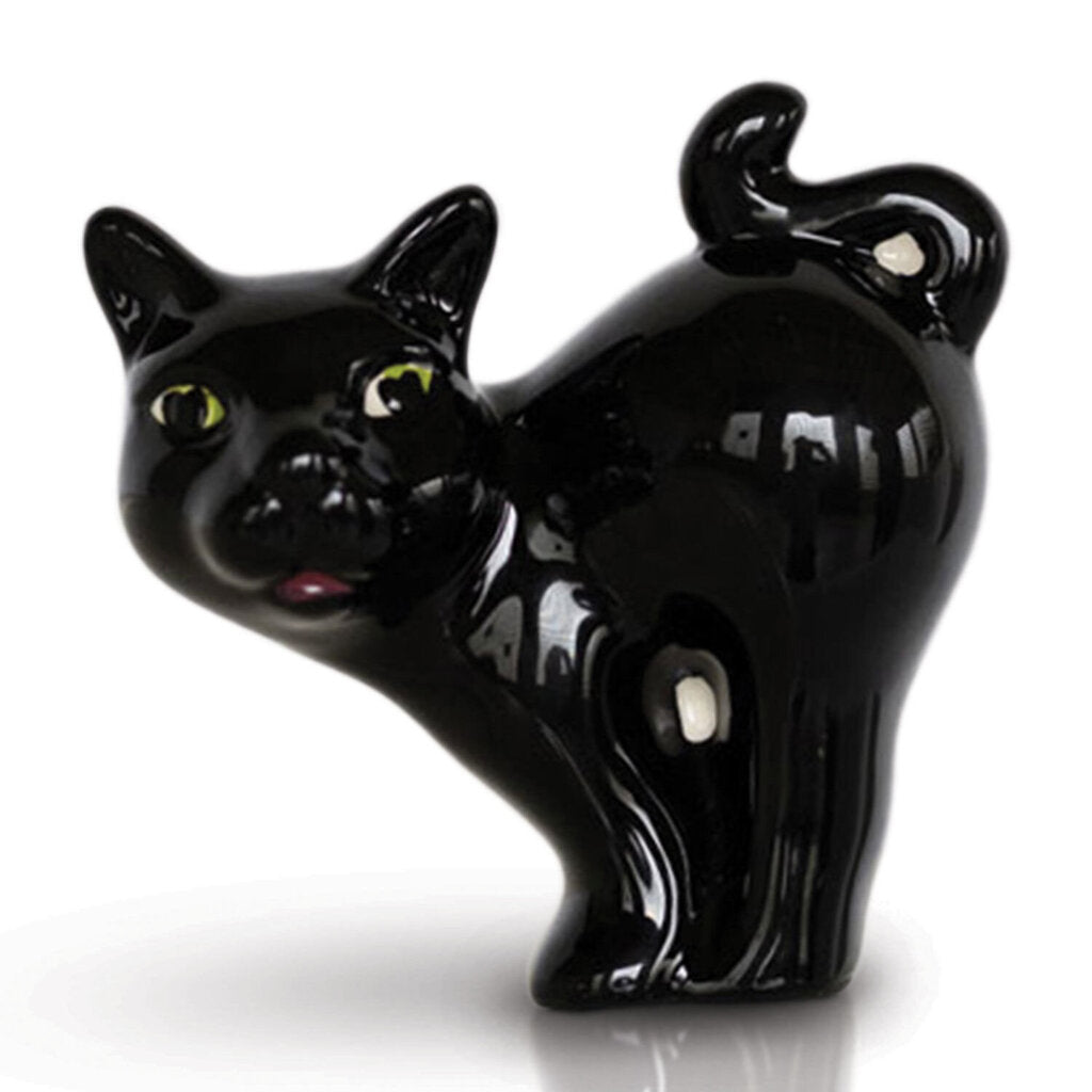 NF - Scaredy Cat Mini - Acosta's Home