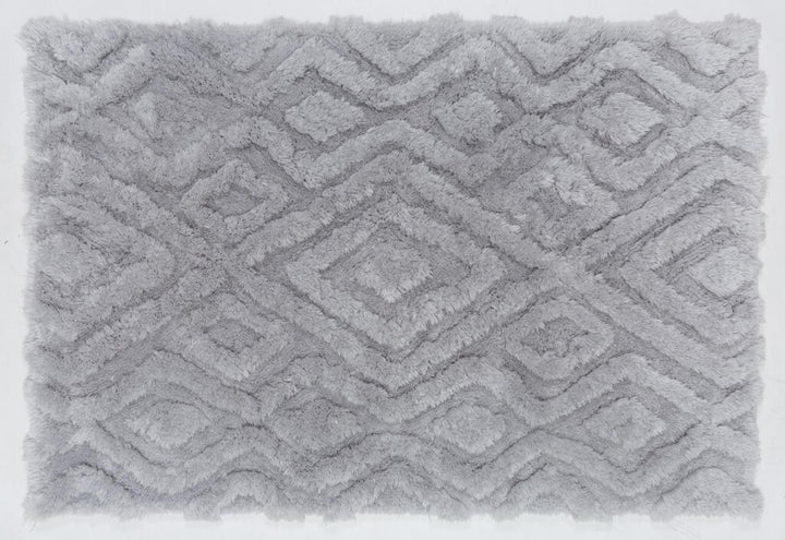 Eva Collection Area Rug EV02