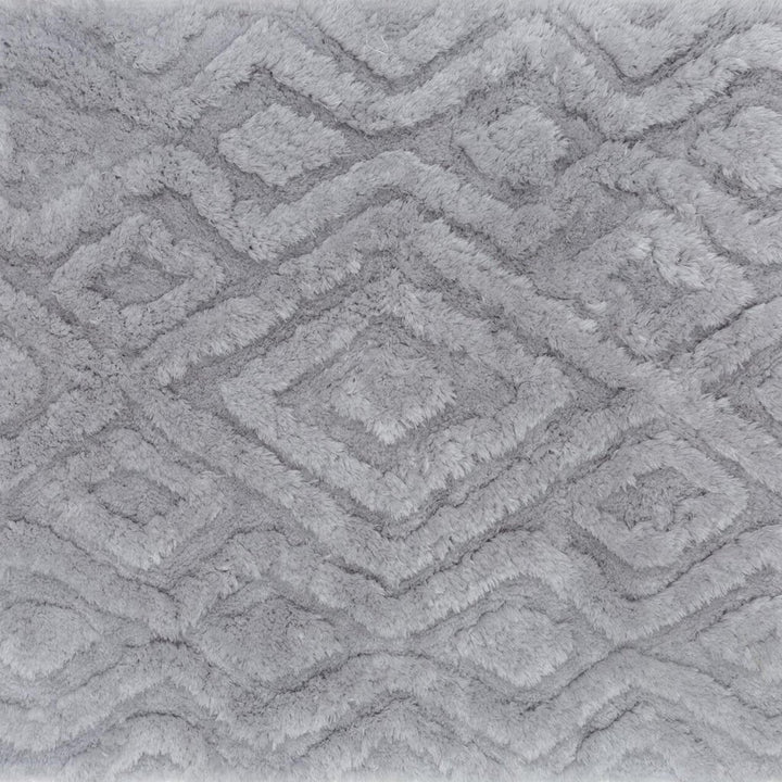 Eva Collection Area Rug EV02