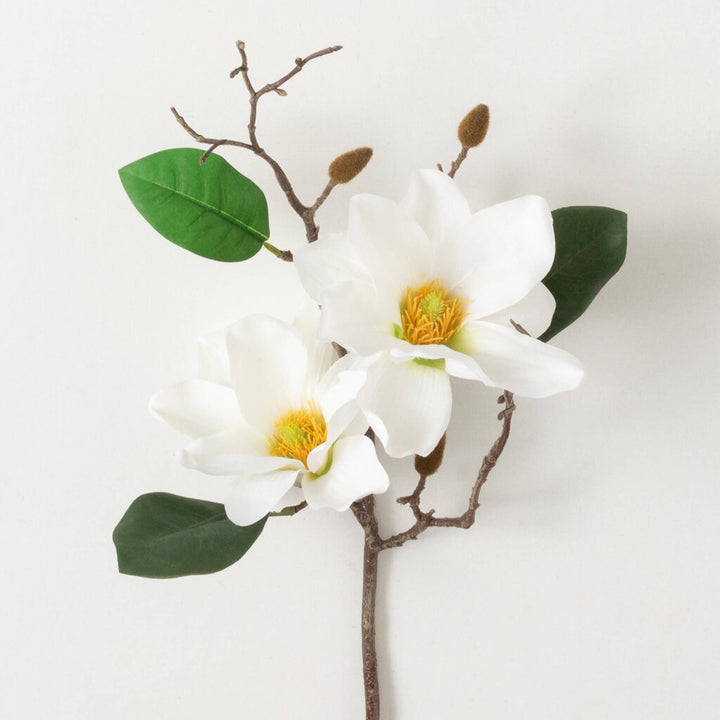 Magnolia Spray