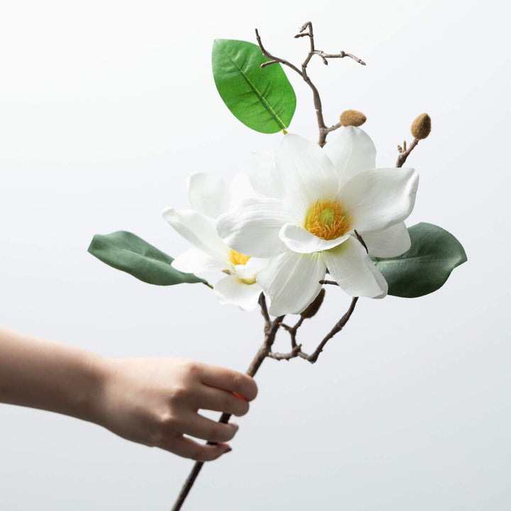 Magnolia Spray