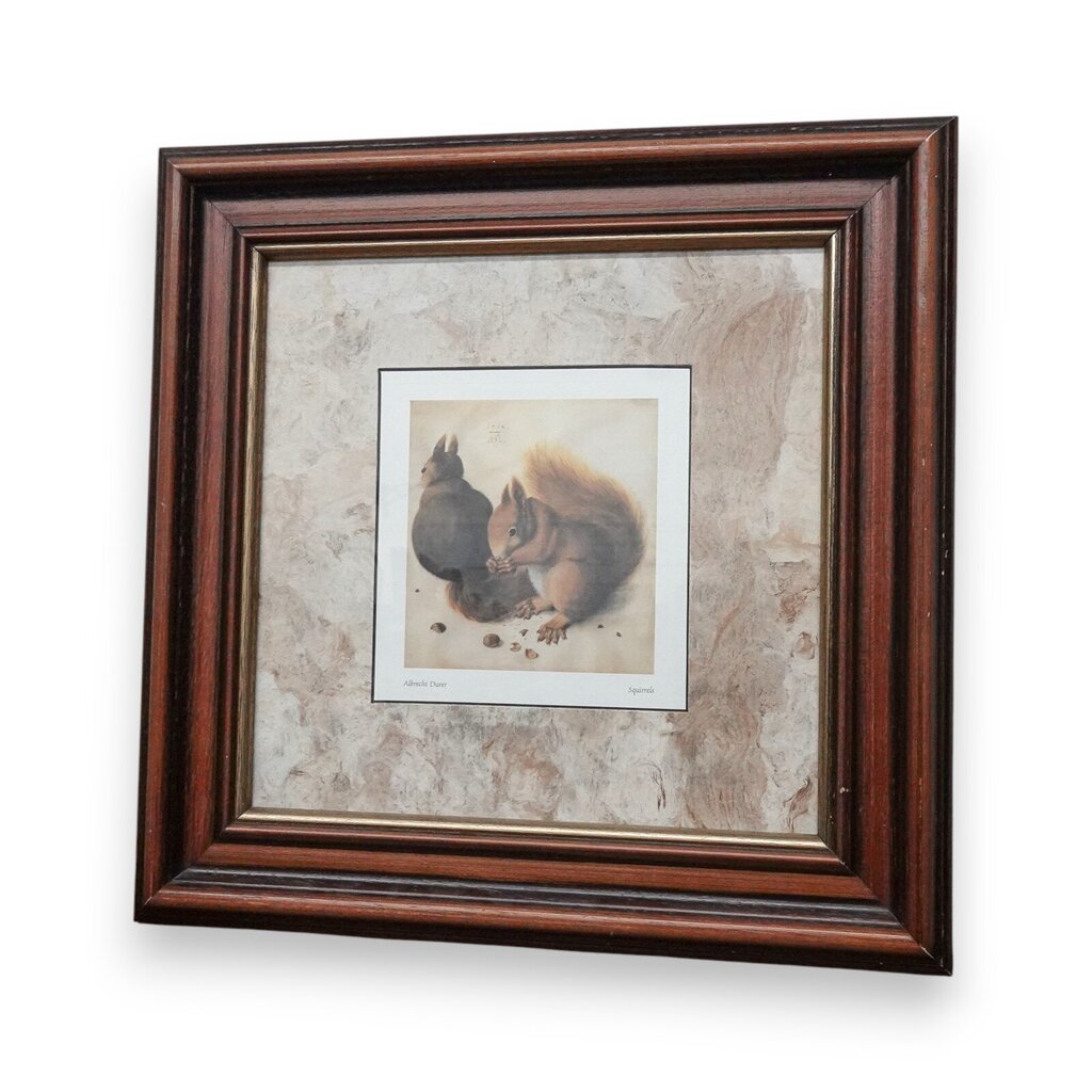 Squirrels Print - by Albrecht Durer