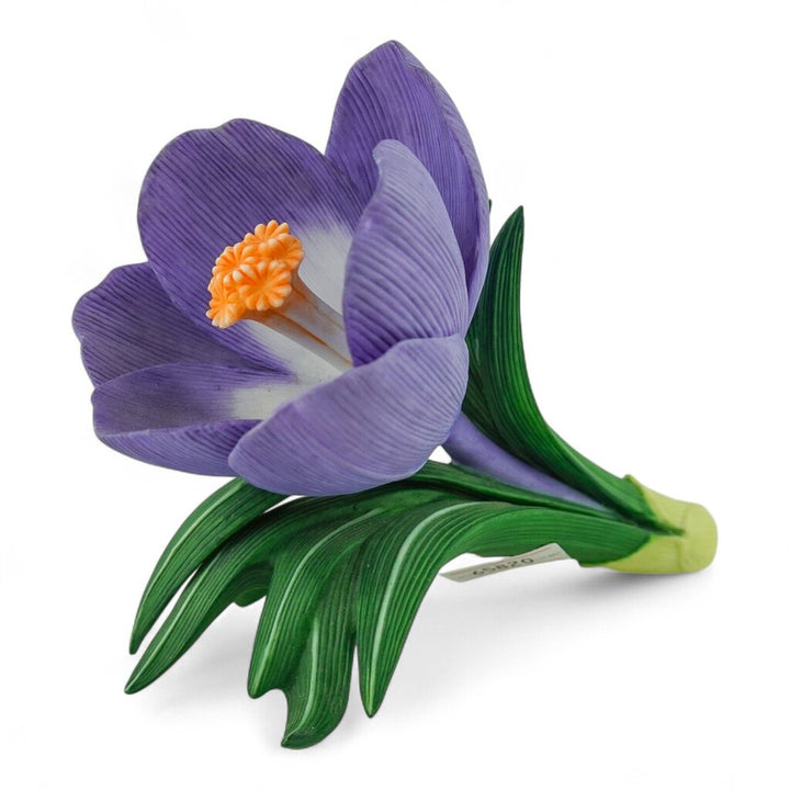 Porcelain Crocus