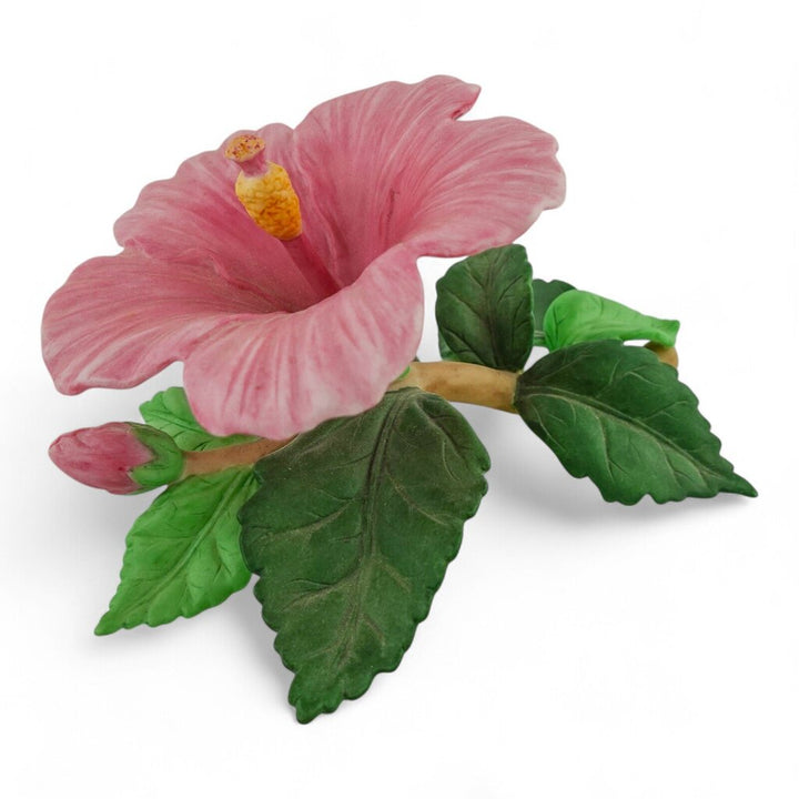 Porcelain Hibiscus