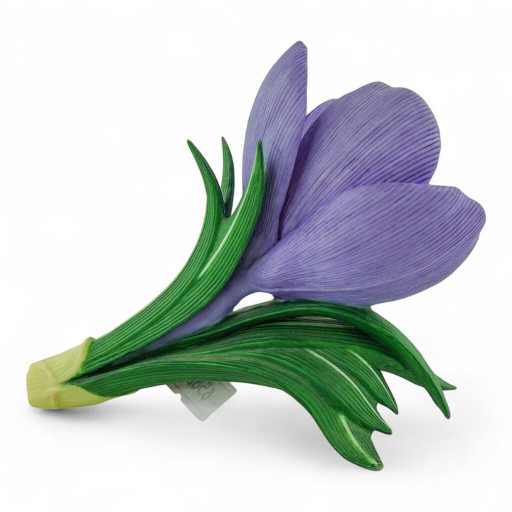 Porcelain Crocus