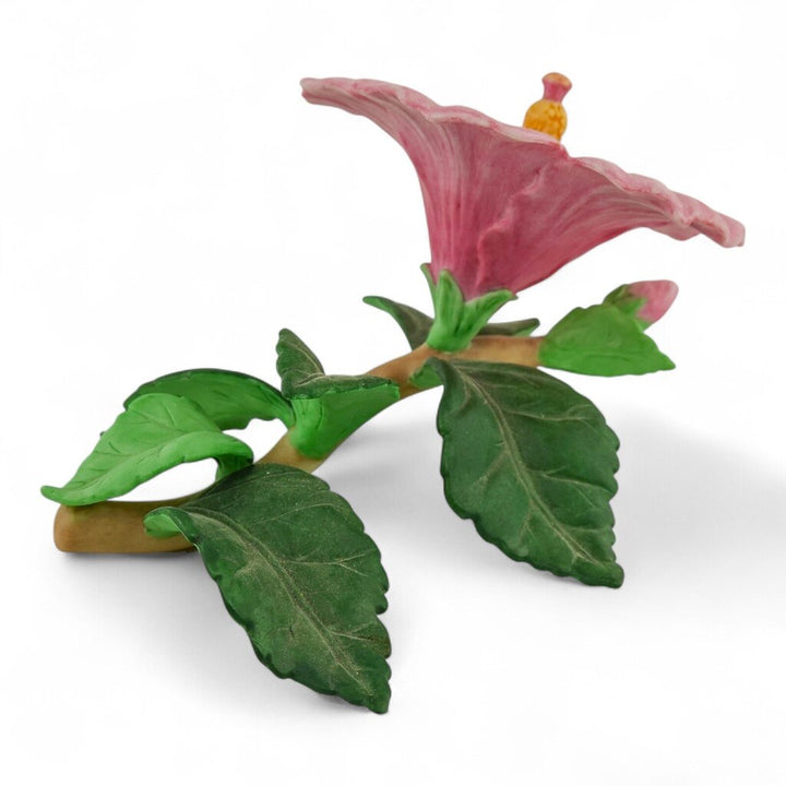 Porcelain Hibiscus