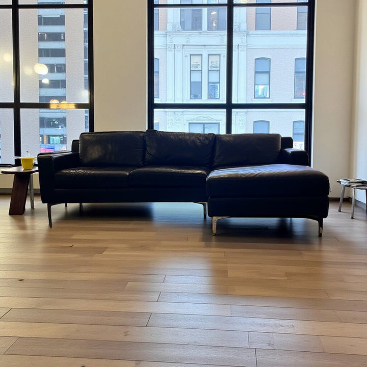 Leather sofa w/ Chaise