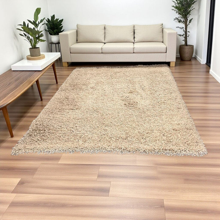 Orig Price $600 - Shag Area Rug