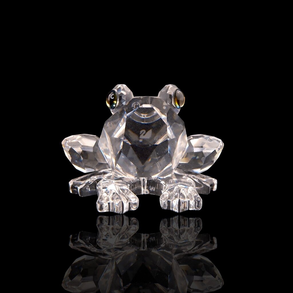 Crystal Frog - Acosta's Home