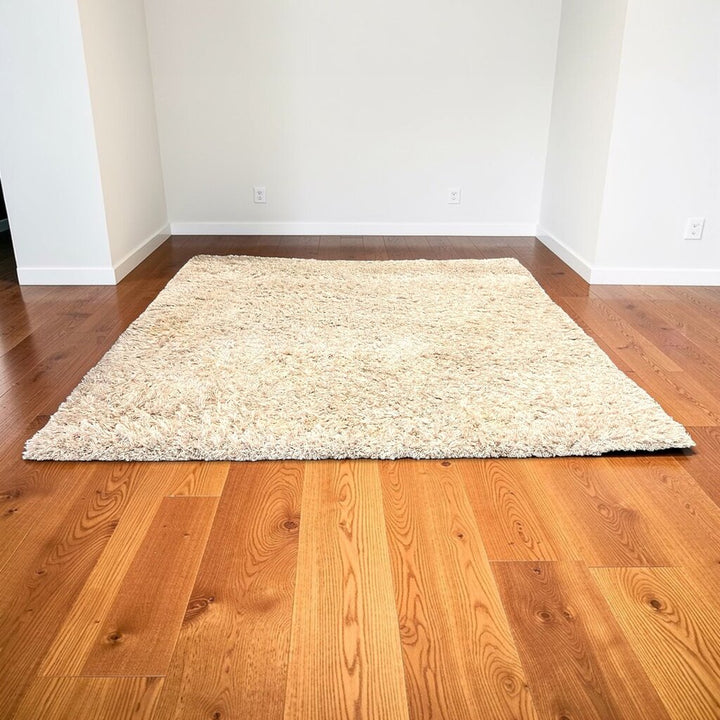 Shag Area Rug
