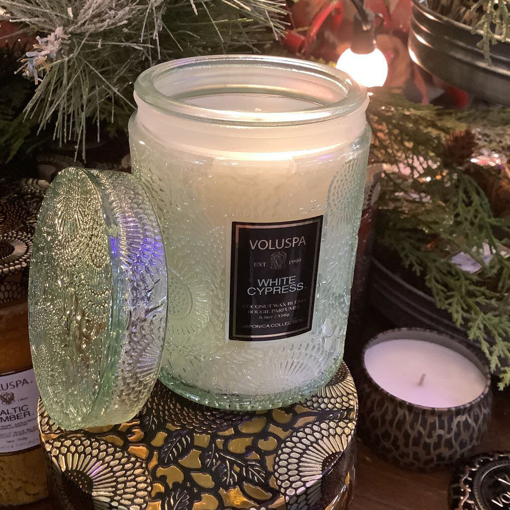 White Cypress Small Jar Candle - Acosta's Home