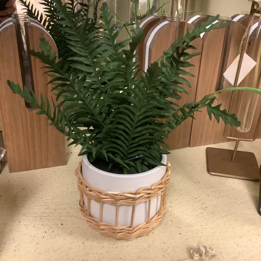 Artificial Fern in Ceramic Pot