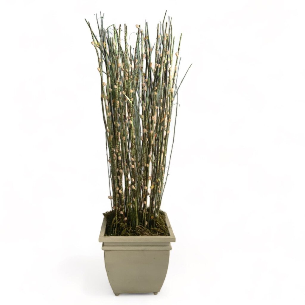 Pussywillow Stems in Square Metal Planter