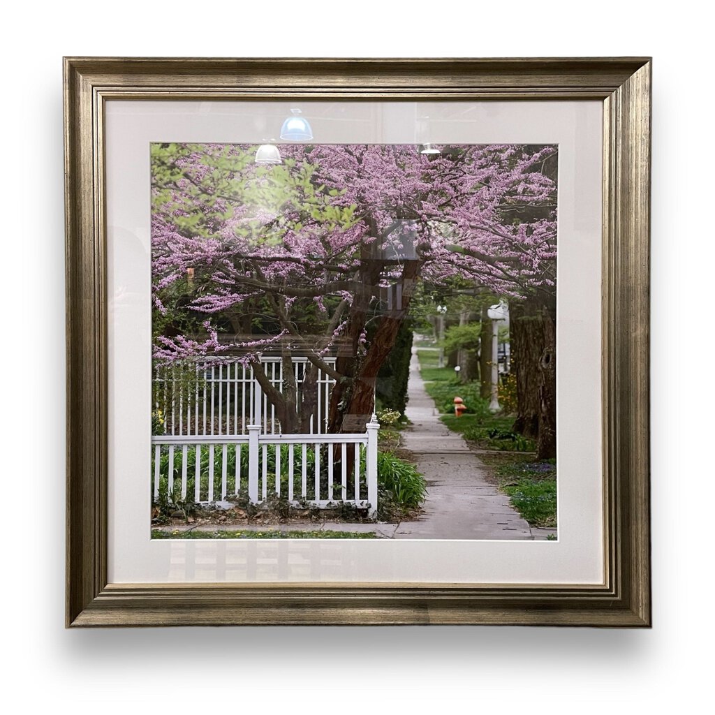Framed Spring Sidewalk Photo