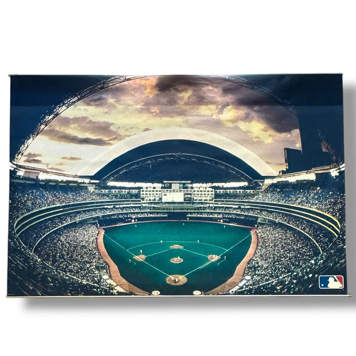 Orig. Price $149 - MLB Stadium Wall Mural Tapestry