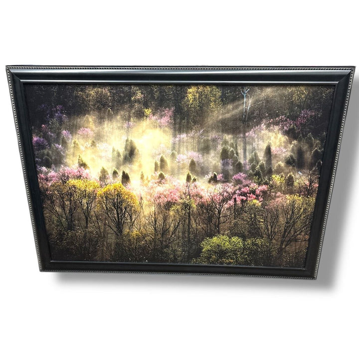 Framed "Spring Morning, Kelly's Ford Virgnia" Canvas