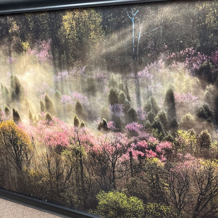 Framed "Spring Morning, Kelly's Ford Virgnia" Canvas