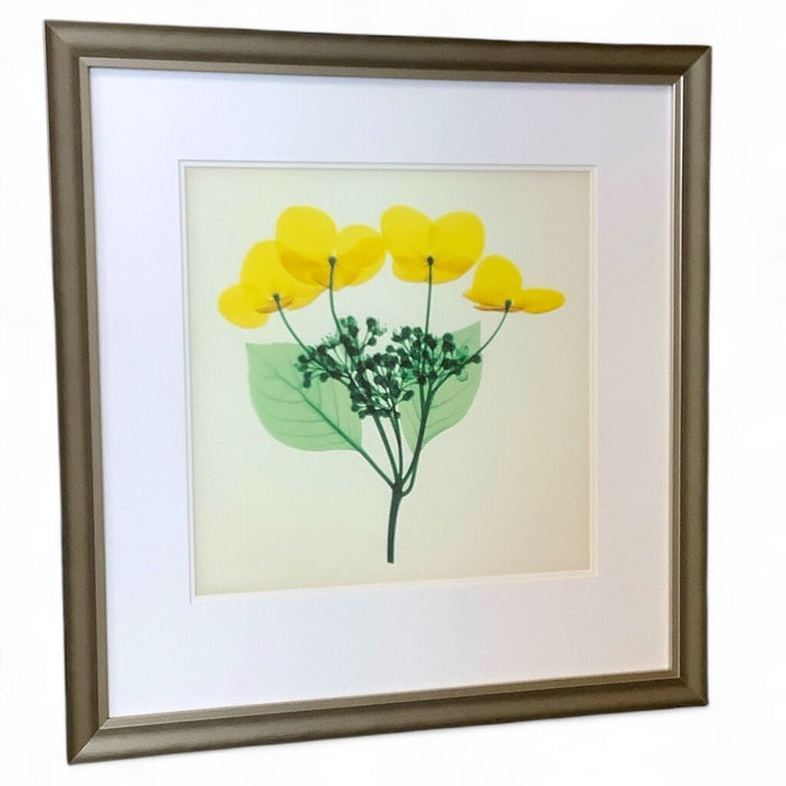 Flower Stem Framed Art