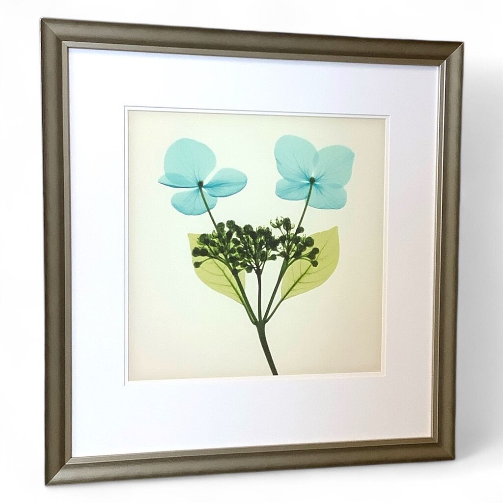 Flower Stem Framed Art