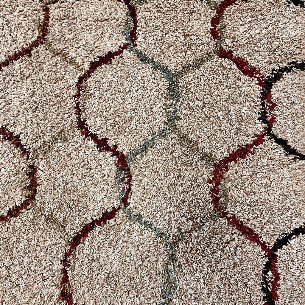 Orig Price $399 - Area Rug