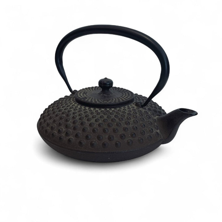 Japanese Cast Iron Teapot