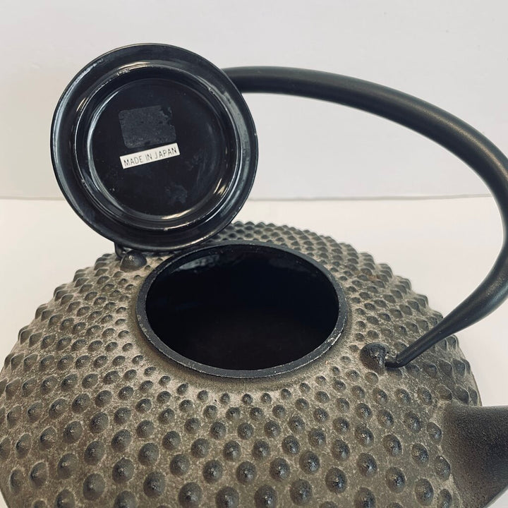 Japanese Cast Iron Teapot