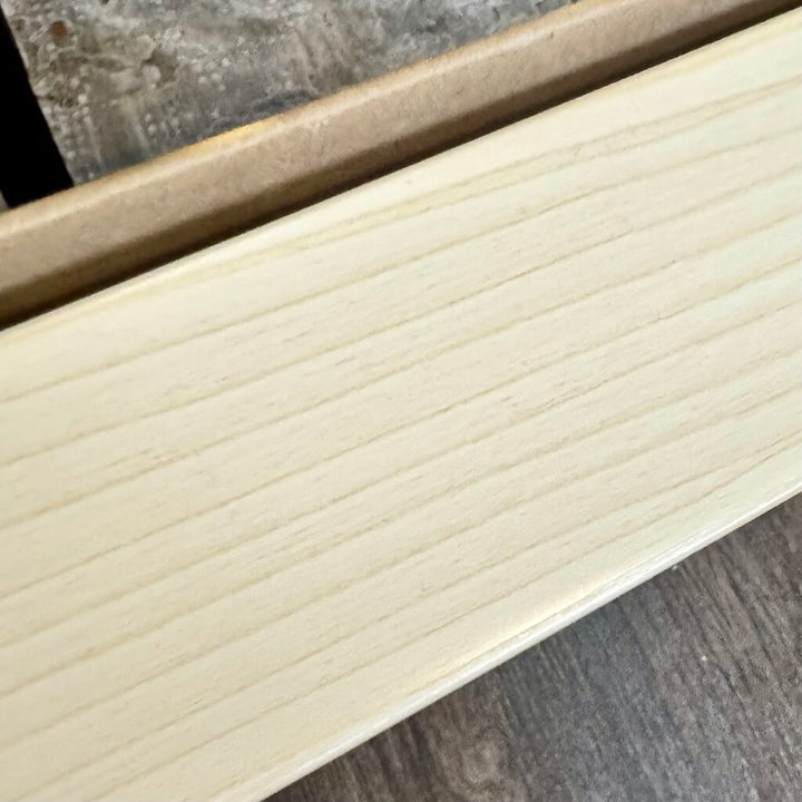 Framed Canvas - Desert Cactus