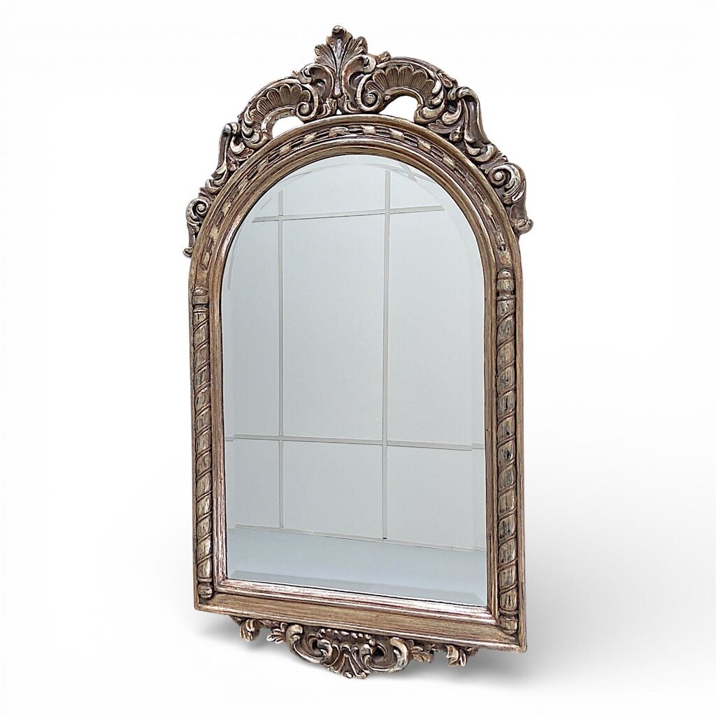 Mirror in Ornate Metallic Frame - Acosta's Home