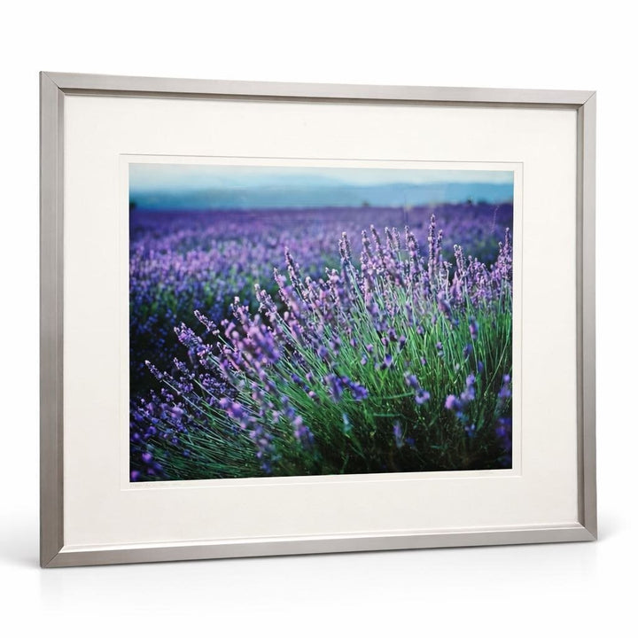 Lavender Field Photo Print - Acosta's Home