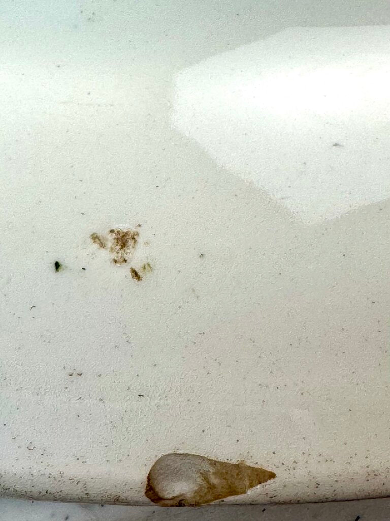 "Indian Tree" Oval Plate in Stand - Acosta's Home